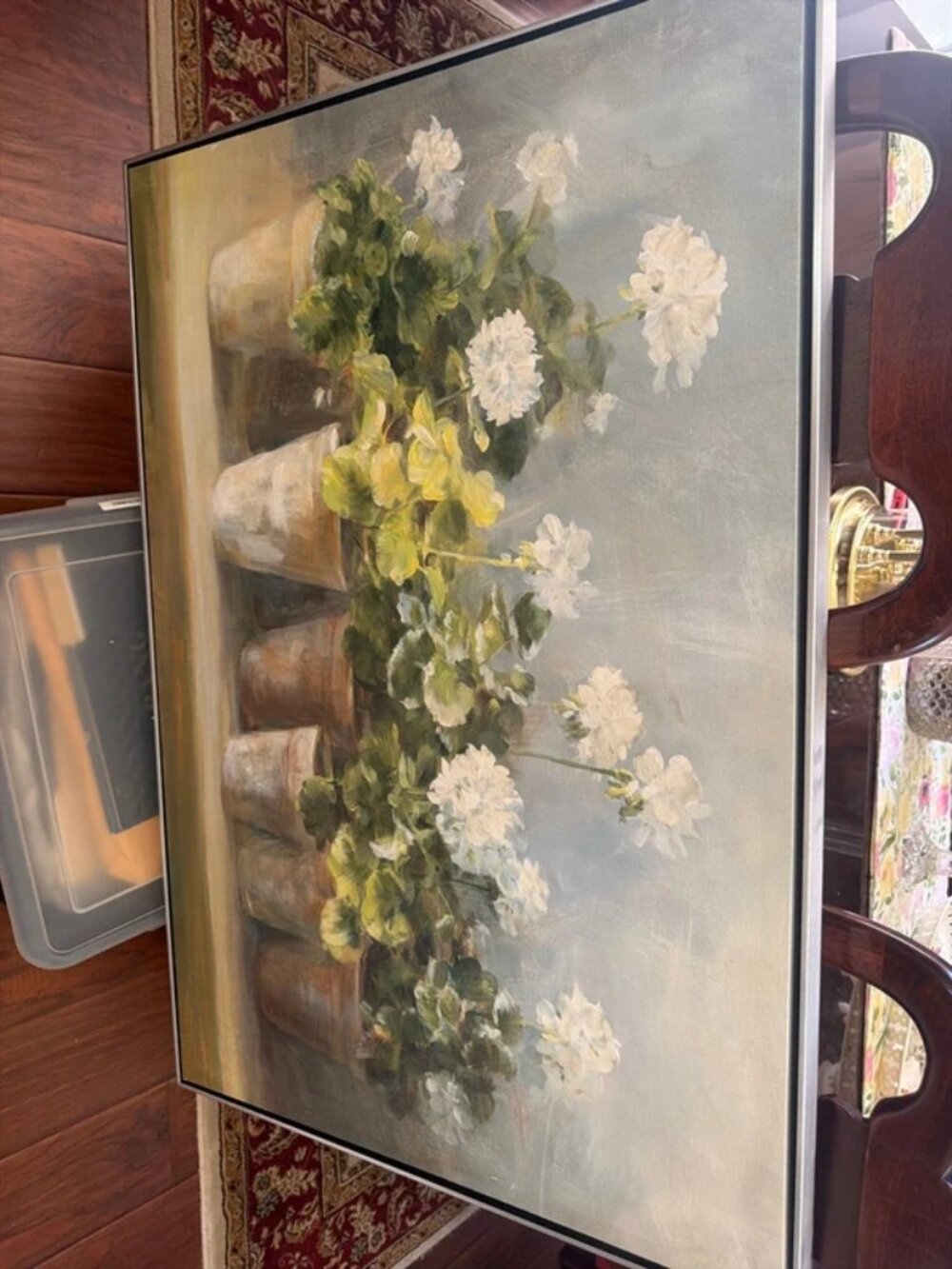 Floral Still life with potted white Geraniums